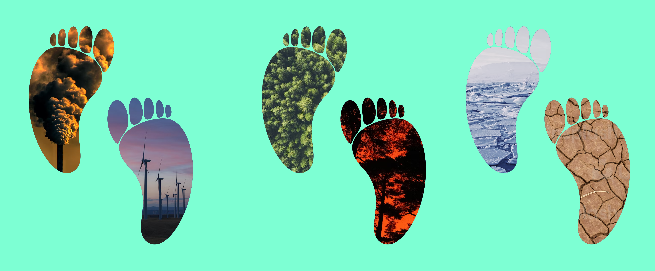 Calculating your carbon footprint